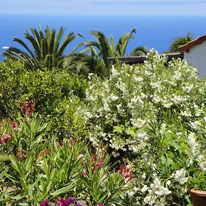 casas-erel.in-canary-islands.com/
